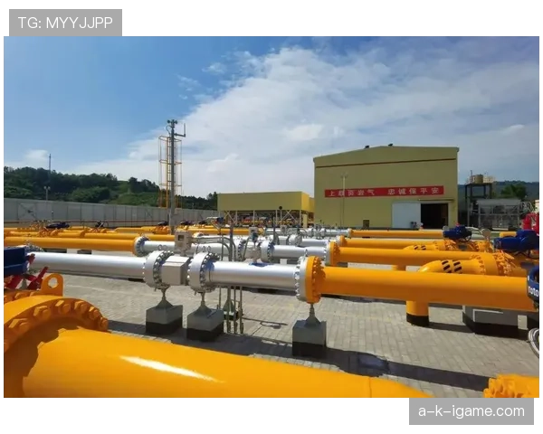 华沙国家球场焕新升级，助推城市体育文化蓬勃发展