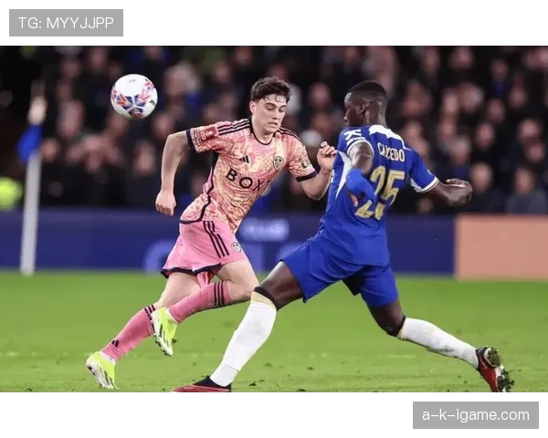 桑德兰重温辉煌：回顾昔日英超冠军征程