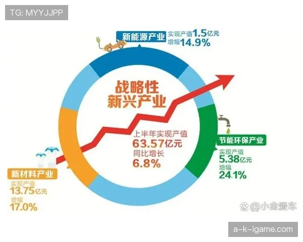 马里发布新战略：聚焦经济发展与社会稳定