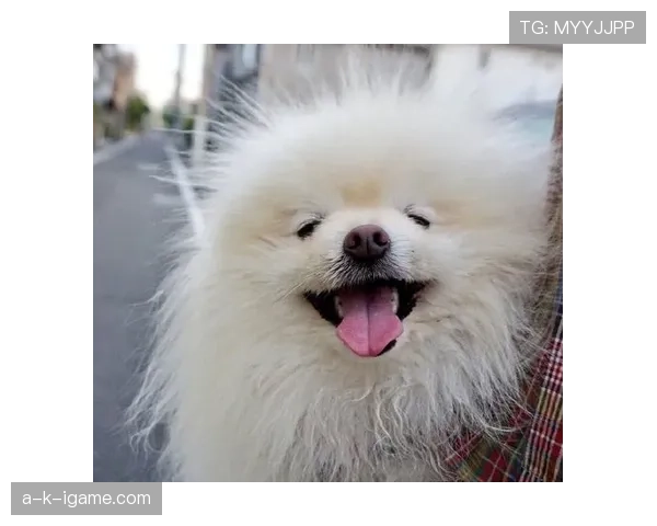 莱德基每天游5000米就当遛弯，我走5000步都喘成狗